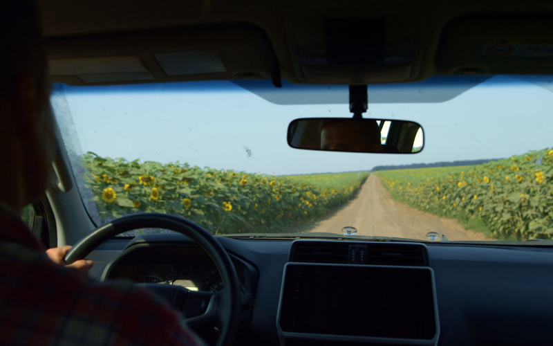 Tips for Keeping Your Windscreen Clear This Summer