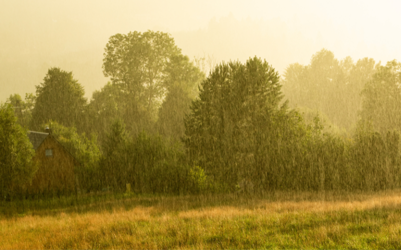 Summer Showers and How to Prepare for Them This Year