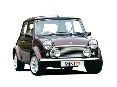 Rover Mini